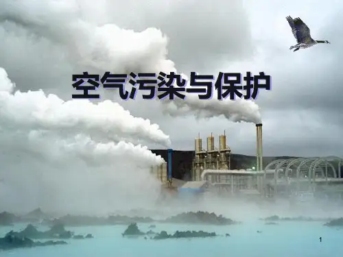 《空气污染与保护》PPT-完美版