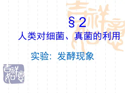 初中八年级(初二)生物课件 发酵实验