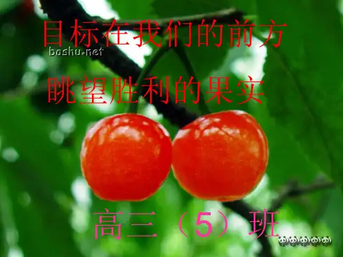 高三模拟考试总结班会   主题班会 获奖课件PPT