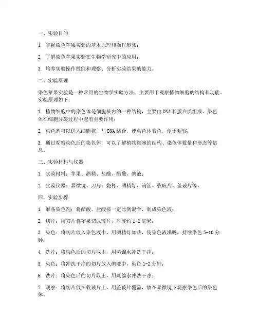 染色_苹果_实验报告