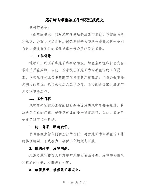 尾矿库专项整治工作情况汇报范文