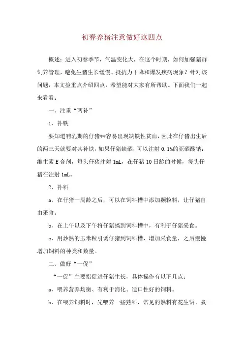 初春养猪注意做好这四点