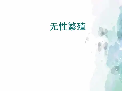 苏教版-生物-八年级下册-几种无性生殖的方法及应用