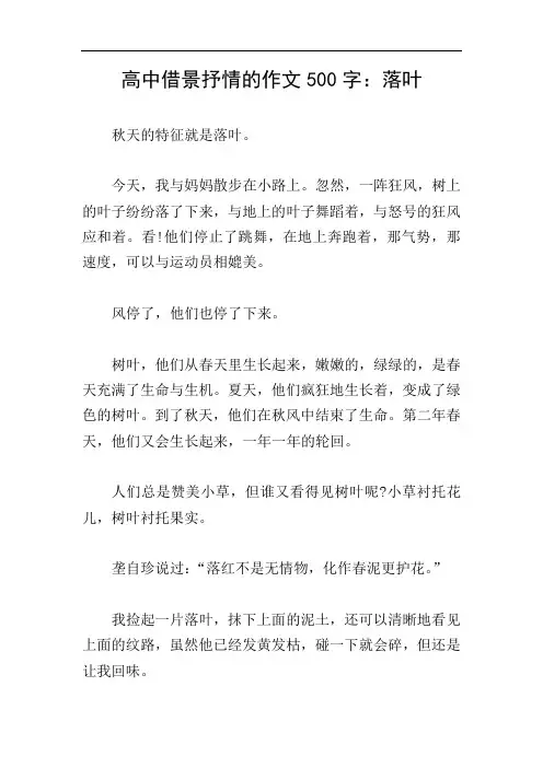 高中借景抒情的作文500字：落叶