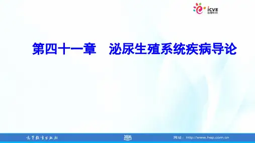 临床医学概论第3版教学课件99