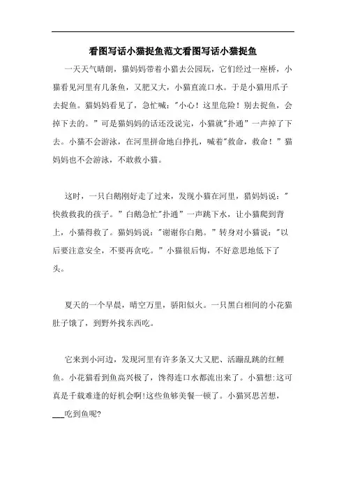 2020年看图写话小猫捉鱼范文看图写话小猫捉鱼