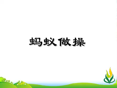 新北师大版三年级数学上册《蚂蚁做操》优质课课件