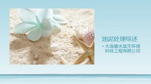 油泥处理综述