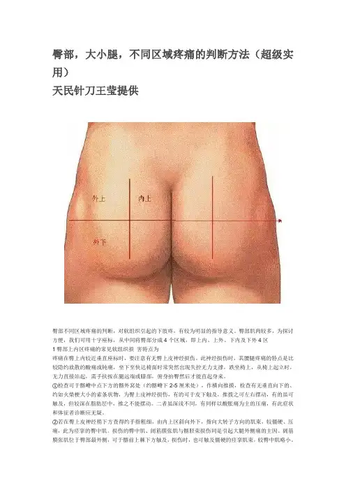 臀部,大小腿,不同区域疼痛的判断方法资料