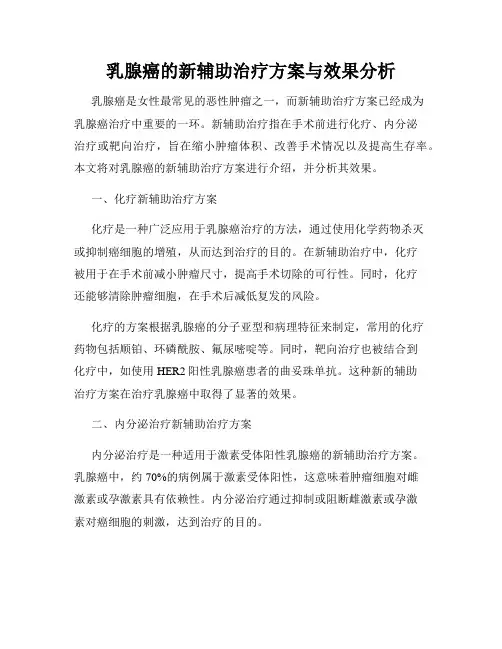 乳腺癌的新辅助治疗方案与效果分析