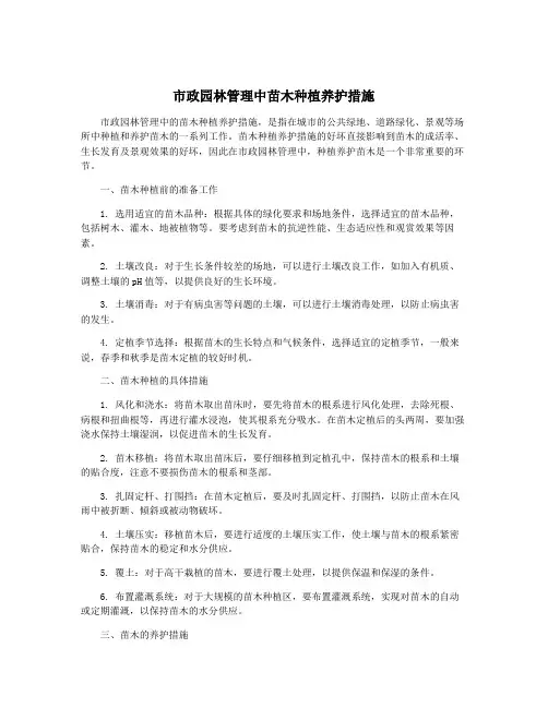 市政园林管理中苗木种植养护措施