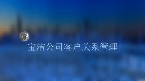 宝洁客户关系管理1