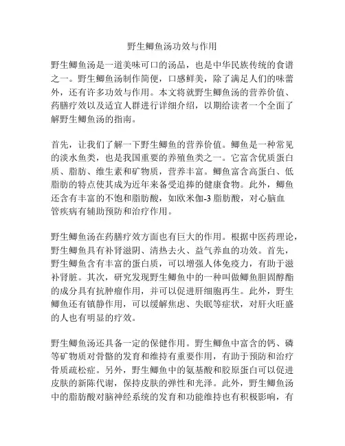 野生鲫鱼汤功效与作用