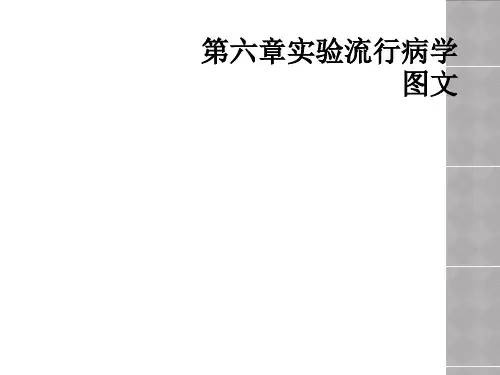 第六章实验流行病学图文