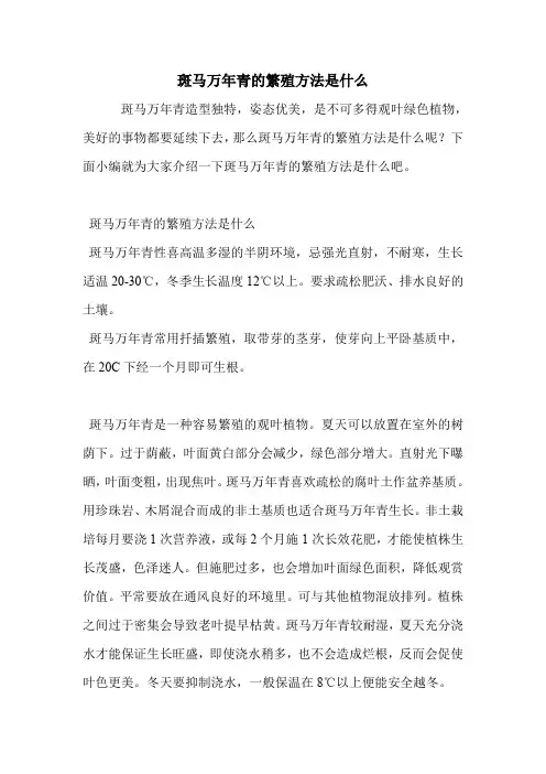 斑马万年青的繁殖方法是什么.doc
