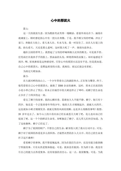 心中的那团火作文600字