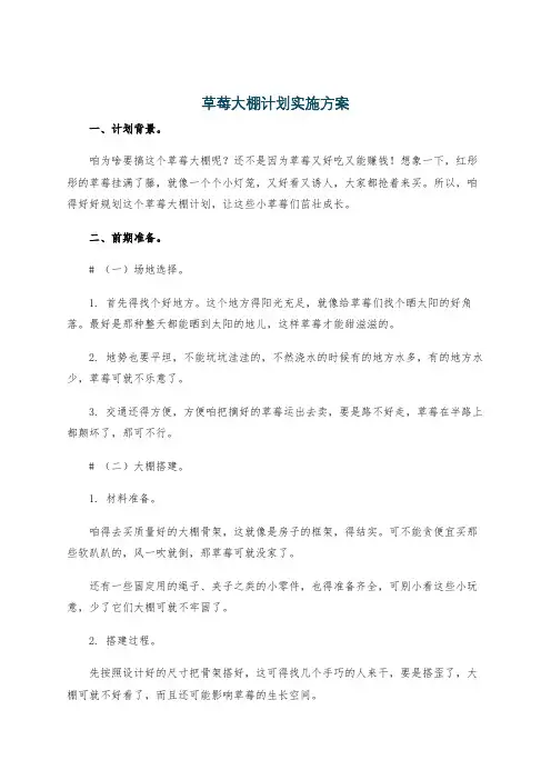 草莓大棚计划实施方案