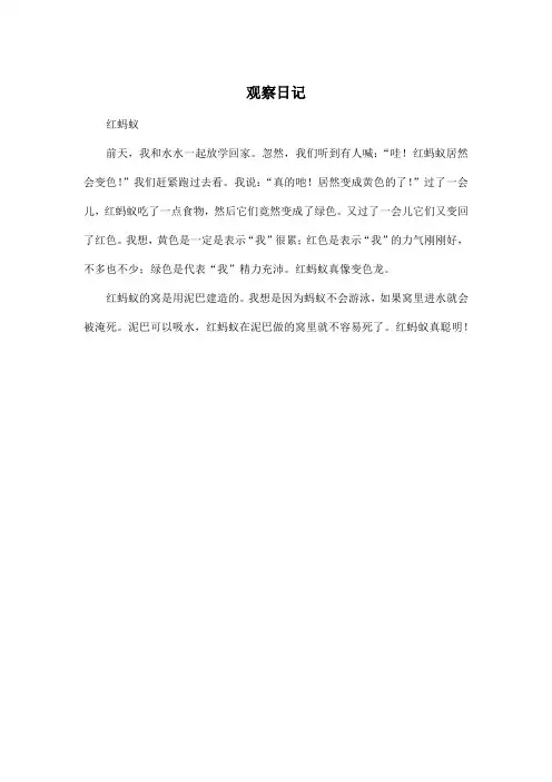 观察日记_小学三年级作文250字
