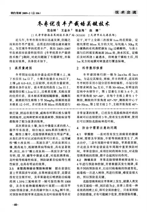 冬枣优质丰产栽培关键技术