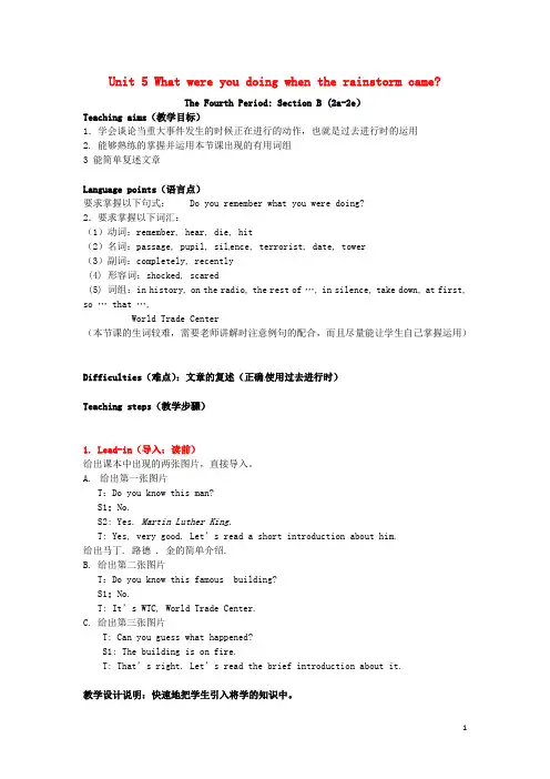 八年级英语下册Unit5WhatwereyoudoingwhentherainstormcameSectionB2a_2e教案新版人教