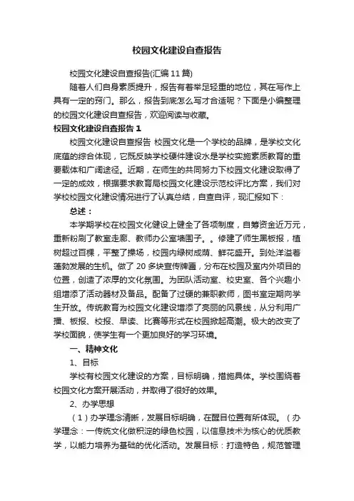 校园文化建设自查报告