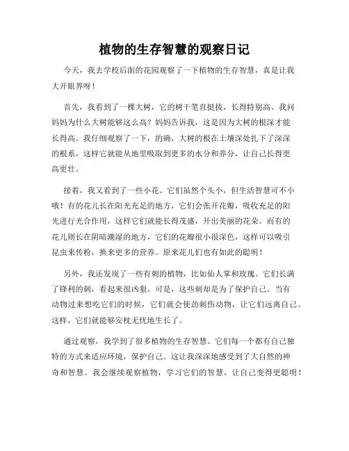 小学三年级作文植物的生存智慧的观察日记