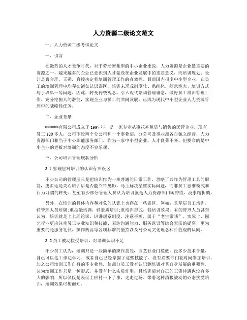 人力资源二级论文范文