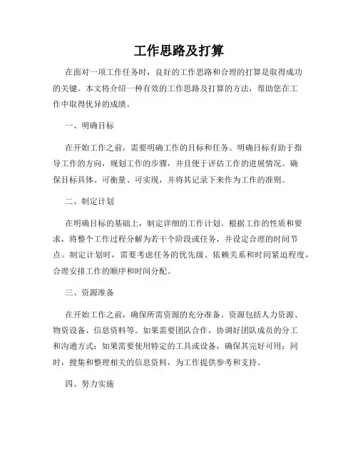 工作思路及打算