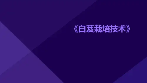 白芨栽培技术