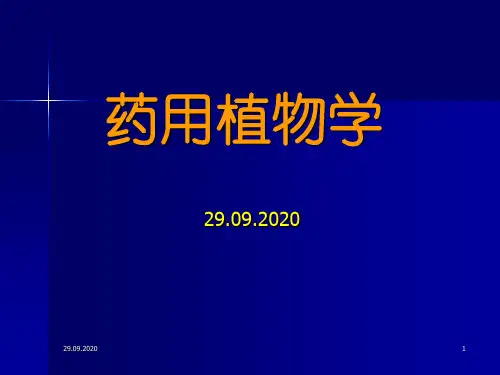 药用植物学绪论PPT课件