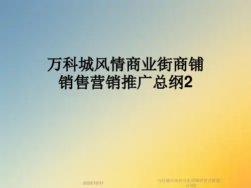 万科城风情商业街商铺销售营销推广总纲2
