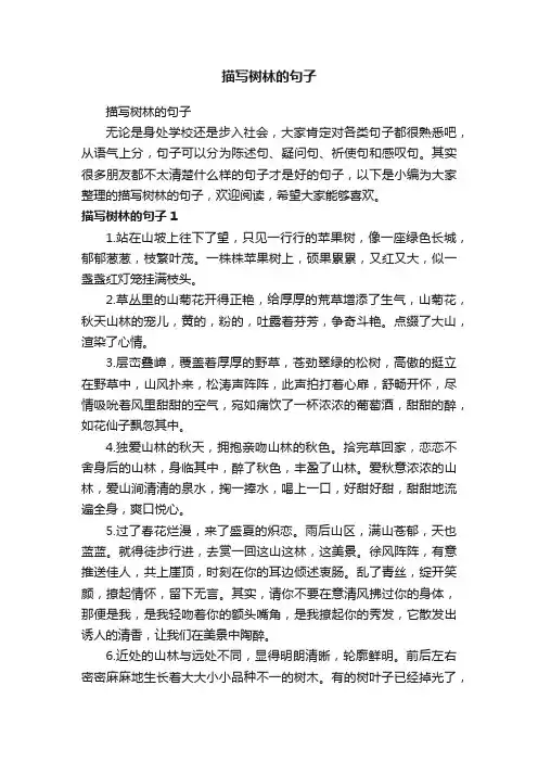 描写树林的句子