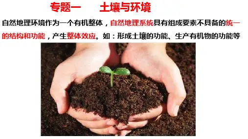 高考地理二轮复习专题 土壤、生物与地理环境(课件)(全国通用)