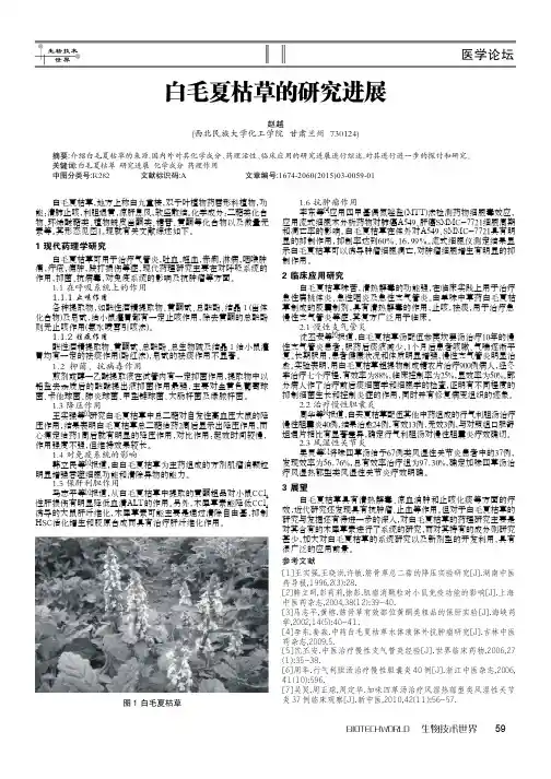 白毛夏枯草的研究进展