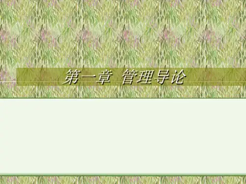 管理及导论(ppt 24页)