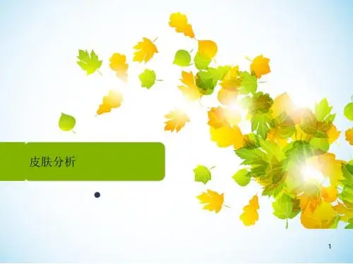 皮肤分析PPT课件