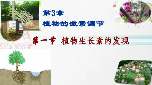 新版人教版高中生物植物生长素的发现(共41张PPT)学习演示PPT课件