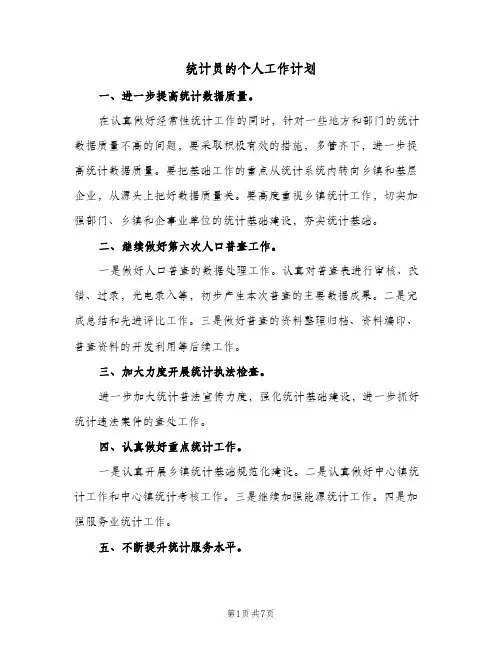 2024年统计员的个人工作计划(三篇)