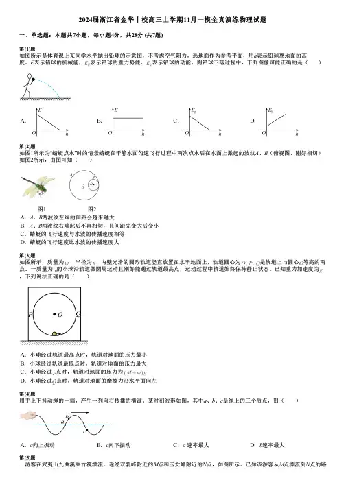 2024届浙江省金华十校高三上学期11月一模全真演练物理试题
