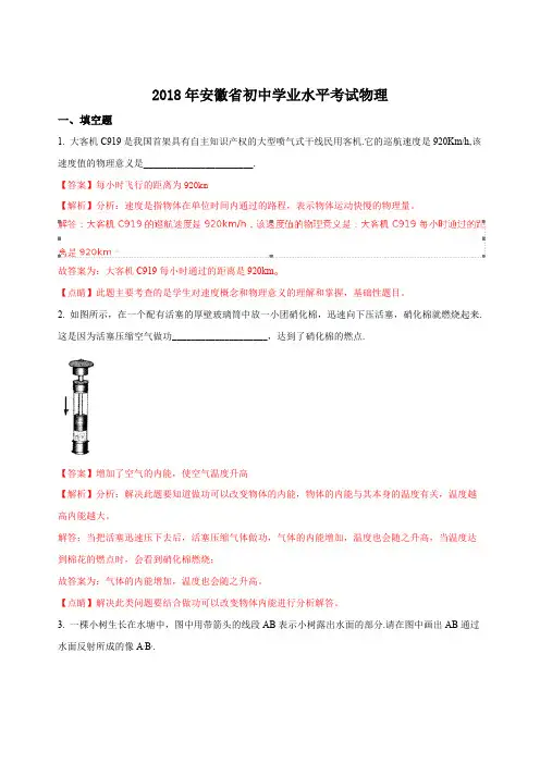 2018年安徽省中考物理真题试题含答案解析