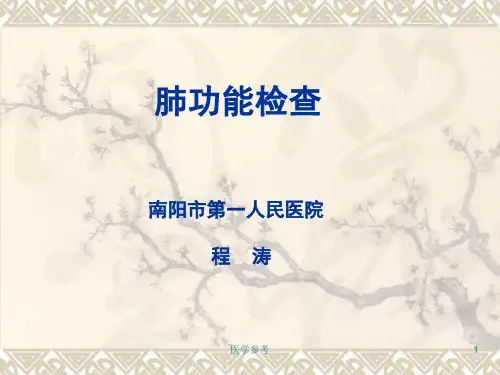 肺功能检查[内容充实]