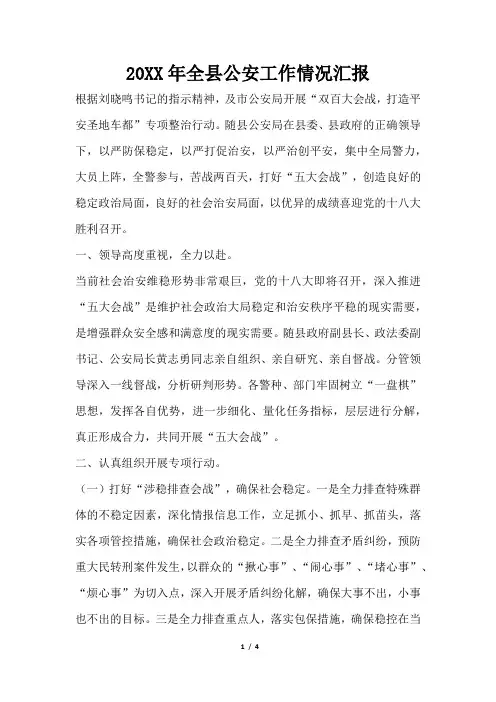 2019年全县公安工作情况汇报