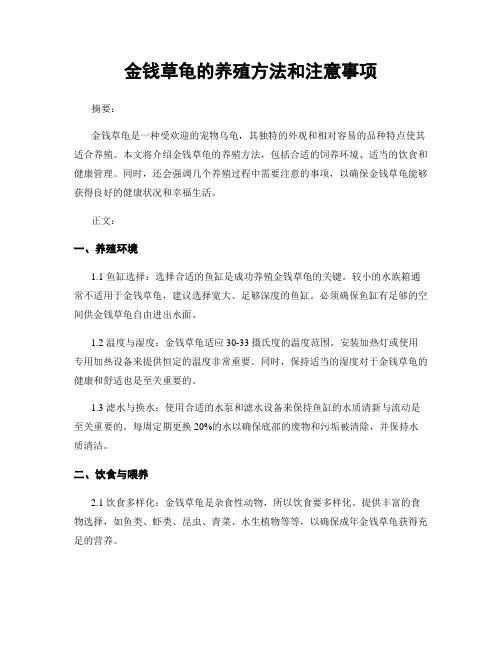 金钱草龟的养殖方法和注意事项