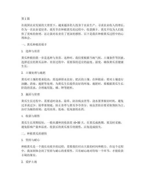 种植黄瓜感悟心得体会(3篇)