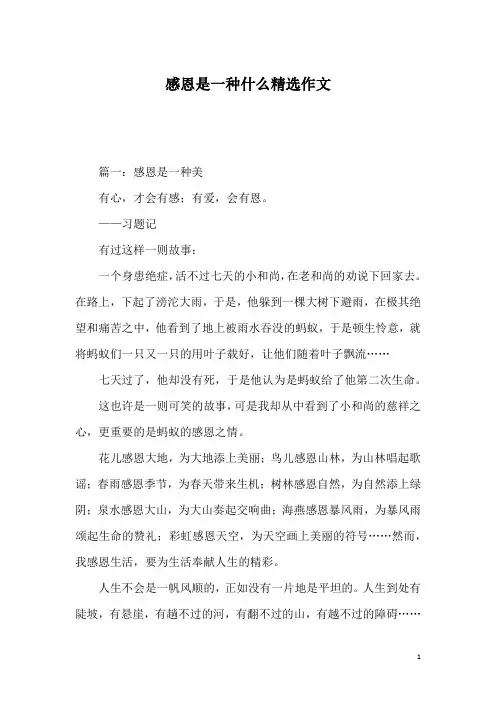 感恩是一种什么精选作文