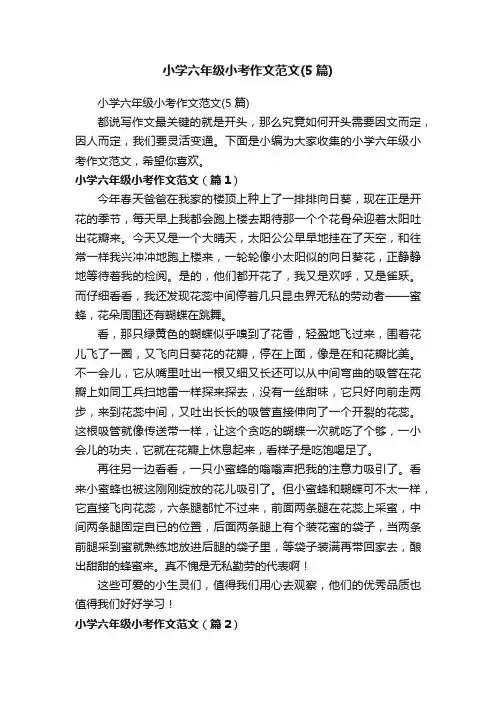 小学六年级小考作文范文（5篇）