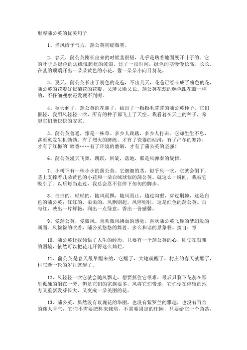 形容蒲公英的优美句子