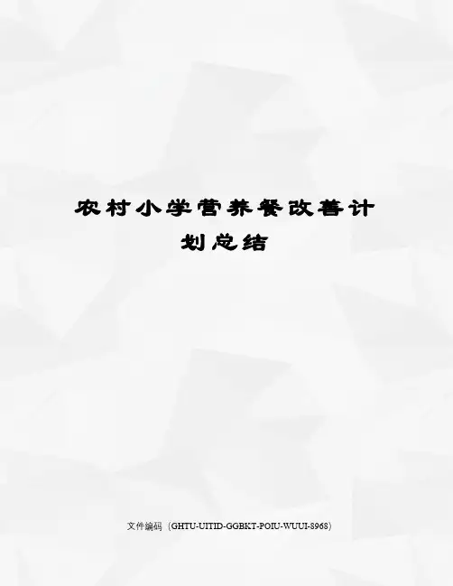 农村小学营养餐改善计划总结