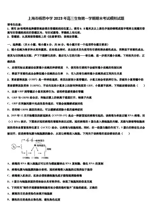 上海市杨思中学2023年高三生物第一学期期末考试模拟试题含解析