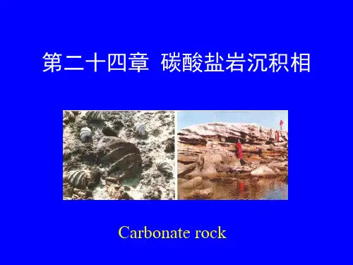碳酸盐岩沉积相